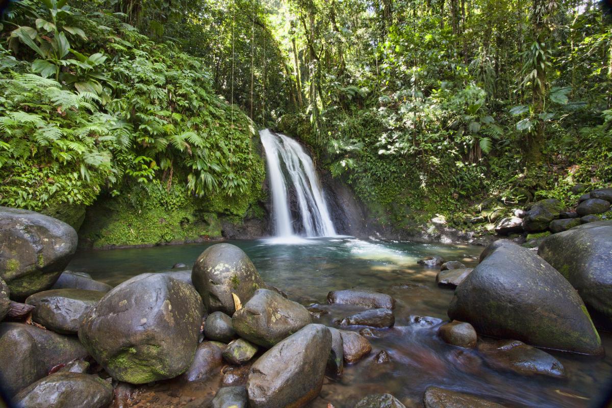 La Cascade Aux Ecrevisses En Guadeloupe Agemm Rent A Car